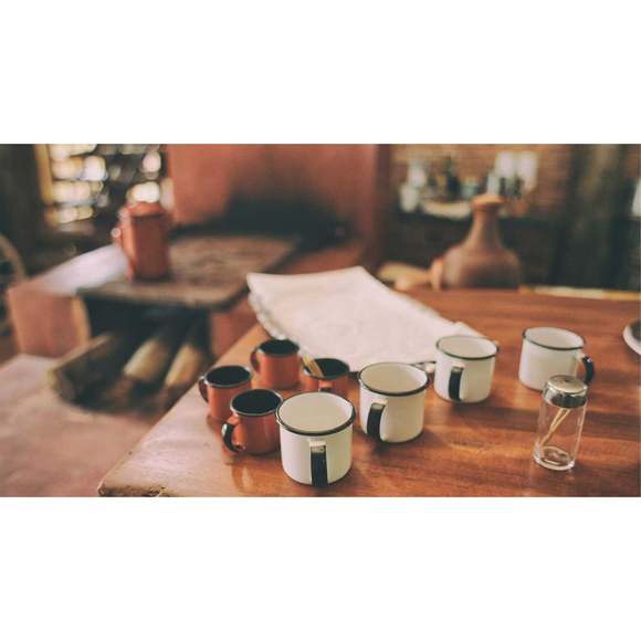 DO NOT BUY: Practical Fresh Bike - Picture 2 of 6